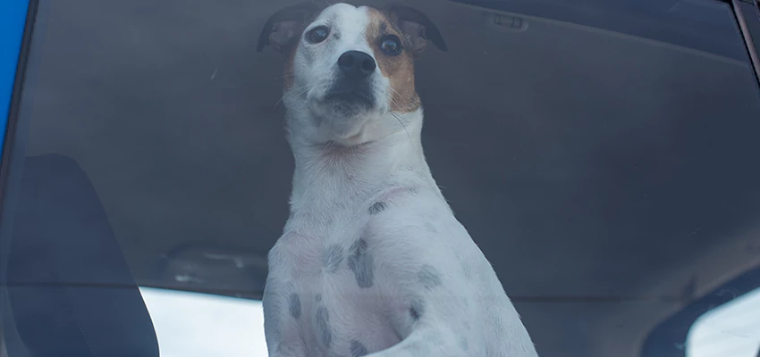 Car Lockout Solutions in Hawaiian Gardens, California